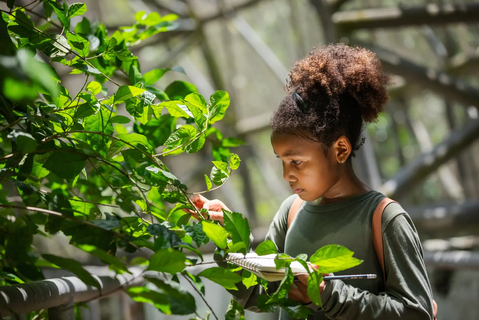 A young researcher examining leaves and taking notes inside a biodiversity dome